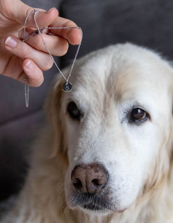 Paw Print Necklace